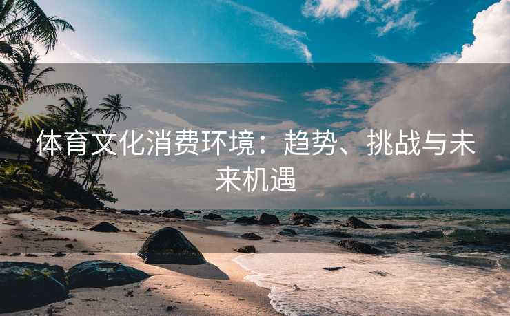 体育文化消费环境：趋势、挑战与未来机遇